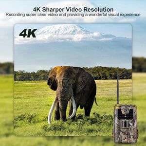 4K Live Video APP Trail Camera Cloud Service 4G 30MP Hunting Cameras Cellular Mobile Wireless Wildlife Night Vision Photo Traps