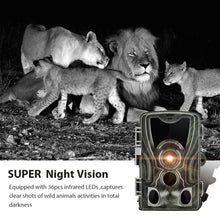 Load image into Gallery viewer, Wireless Hunting Camera Trail Night Vision Cameras HC801A 20MP 1080P  IP65 Photo Trap 0.3s Trigger Wildlife Surveillance
