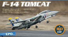 Load image into Gallery viewer, RC Jet Model F-14 Tomcat with Variable Sweep Wing KIT
