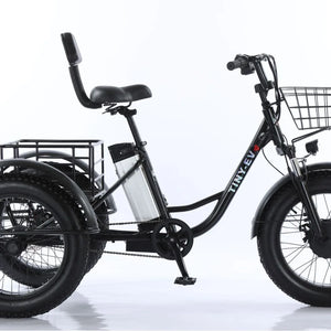 Electric Tricycle 20Inch Elderly Snow 500W48V12AH Removable Lithium Battery Electric Bike Large Storage Basket Cargo Ebike Adult