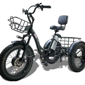 Electric Tricycle Fat Tire 20 Inch 500W48V12AH Lithium Battery Snow Ebike Leisure Large Storage Basket Adult Electric Cargo Bike