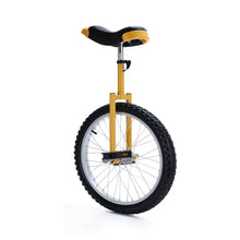 Load image into Gallery viewer, One Wheel bike Aluminum Alloy Unicycle Monocycle High Quality 16inch 18 inch 20inch 24 inch Popular balance bike juggle
