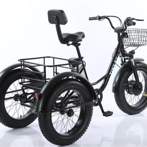 Electric Tricycle 20Inch Elderly Snow 500W48V12AH Removable Lithium Battery Electric Bike Large Storage Basket Cargo Ebike Adult