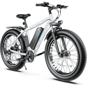 Electric Bike 26" x 4.0 Fat Tire Electric Bicycle, 750W Motor Peak Electric Mountain Bike, 48V13AH Removable Lithium-Ion Battery