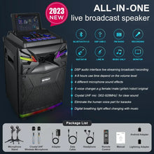 Load image into Gallery viewer, 10-inch DSP Bluetooth Karaoke Machine 600W PA System Support Live Streaming with Sound Effects/DJ Lights/FM Radio
