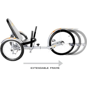 Triton Pro Adult Tricycle. Recumbent Trike. Adaptive 3-Wheel Bike