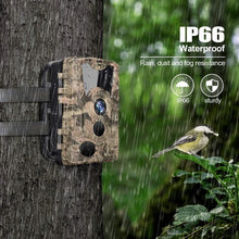 Load image into Gallery viewer, Outdoor Wildlife 20MP HD 1080P Trail Camera Night Vision Hunting Accessories   IP66 Waterproof Wildlife  Game Cam Thermal Scope
