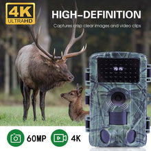 Load image into Gallery viewer, 4K Video Hunting Shooting Wildlife Trail Camera Waterproof 60MP 30MP WIFI Live Stream Night Vision Outdoor  Photo Trap Camera
