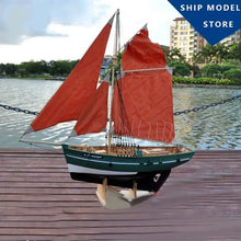 Load image into Gallery viewer, Remote Control  Dual-power Sailing Ship Model Gift
