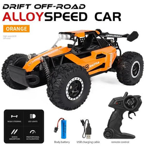 1:16 RC Car Alloy High-speed 20KM/h Climbing Off-road 2.4G rock