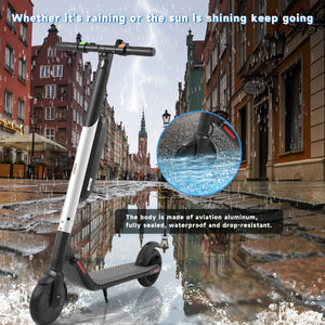 NINEBOT SEGWAY ES4 Electric Scooter 36V 10.4Ah Battery 35KM Range Escooter Electric Kick Scooter IPX6 Waterproof Lightweight