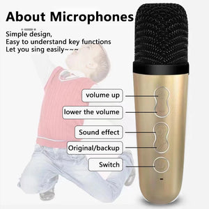 Dual Microphone Karaoke Machine Outdoor Portable Karaoke Bluetooth Speaker Box 10W HIFI Player with RGB LED Light for Home Party