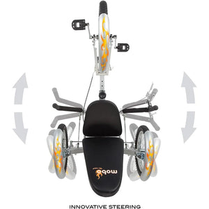 Triton Pro Adult Tricycle. Recumbent Trike. Adaptive 3-Wheel Bike