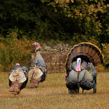 Load image into Gallery viewer, Lenotos Pop Up Ground Blind, Easy-Setup Hunting Blind for Deer, Turkey, Duck - Dry Grass Camo

